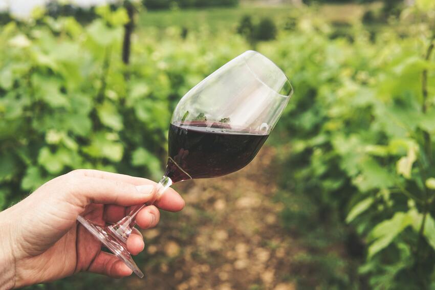 EXPLORING THE DELIGHTS OF PLETTENBERG BAY AS A CHARMING WINE REGION