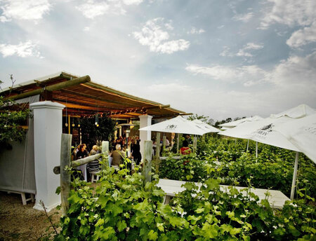 Bramon Wine Estate