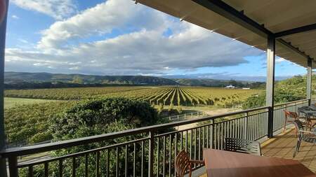 Bitou Vineyards