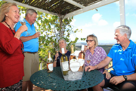 Plettenvale Wines